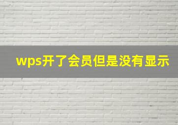 wps开了会员但是没有显示