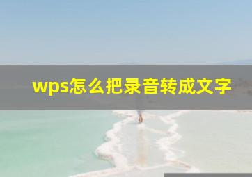 wps怎么把录音转成文字