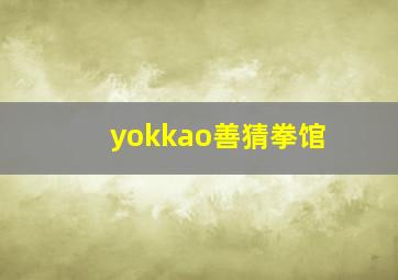 yokkao善猜拳馆