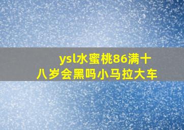 ysl水蜜桃86满十八岁会黑吗小马拉大车