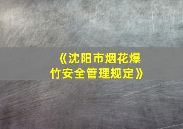 《沈阳市烟花爆竹安全管理规定》