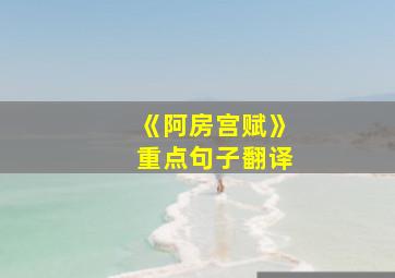 《阿房宫赋》重点句子翻译