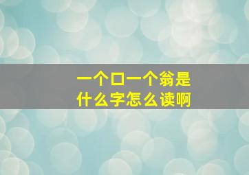 一个口一个翁是什么字怎么读啊