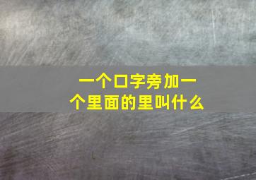 一个口字旁加一个里面的里叫什么