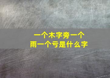 一个木字旁一个雨一个亏是什么字