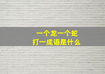 一个龙一个蛇打一成语是什么