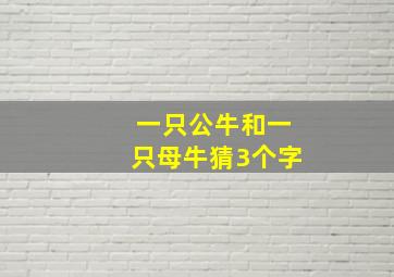 一只公牛和一只母牛猜3个字