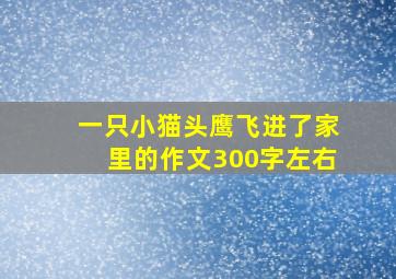 一只小猫头鹰飞进了家里的作文300字左右