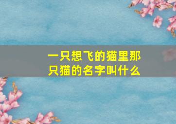 一只想飞的猫里那只猫的名字叫什么