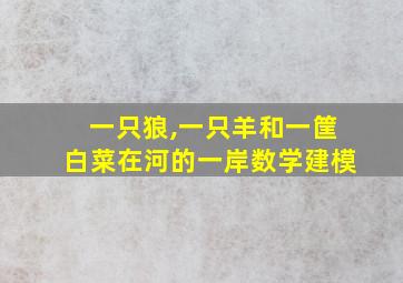 一只狼,一只羊和一筐白菜在河的一岸数学建模