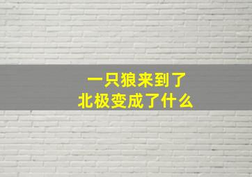 一只狼来到了北极变成了什么