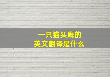 一只猫头鹰的英文翻译是什么