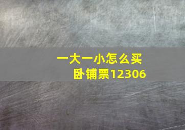 一大一小怎么买卧铺票12306