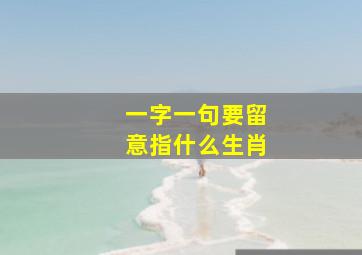 一字一句要留意指什么生肖