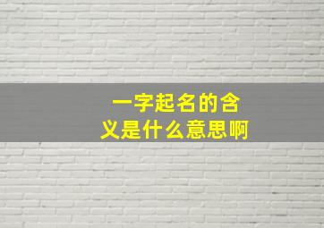 一字起名的含义是什么意思啊