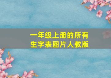 一年级上册的所有生字表图片人教版