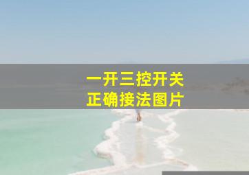 一开三控开关正确接法图片