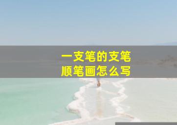 一支笔的支笔顺笔画怎么写