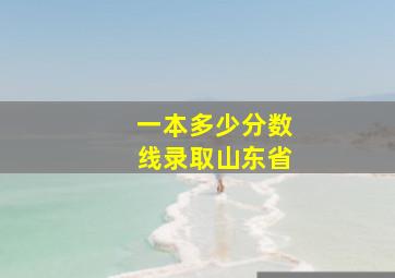 一本多少分数线录取山东省