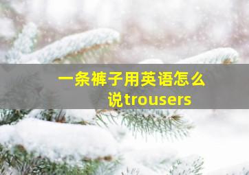 一条裤子用英语怎么说trousers