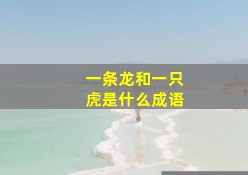 一条龙和一只虎是什么成语