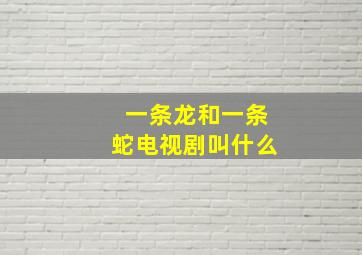 一条龙和一条蛇电视剧叫什么