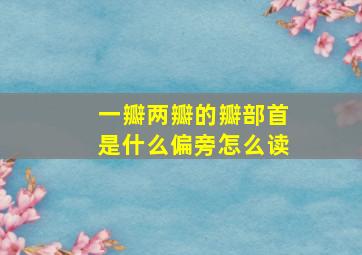 一瓣两瓣的瓣部首是什么偏旁怎么读