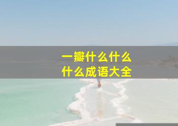 一瓣什么什么什么成语大全