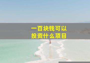 一百块钱可以投资什么项目