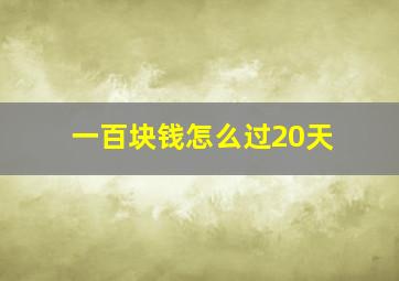 一百块钱怎么过20天