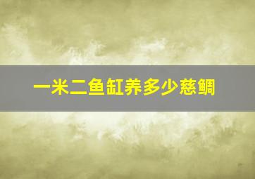 一米二鱼缸养多少慈鲷