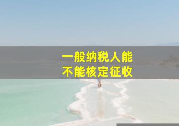 一般纳税人能不能核定征收