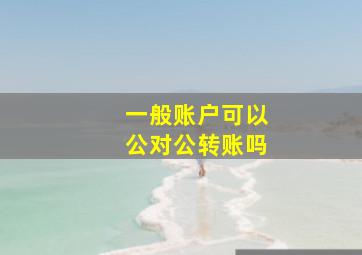 一般账户可以公对公转账吗