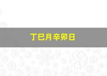 丁巳月辛卯日