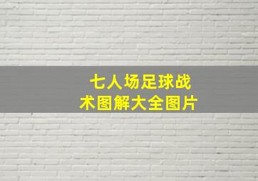 七人场足球战术图解大全图片