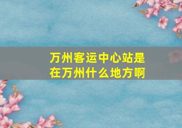 万州客运中心站是在万州什么地方啊