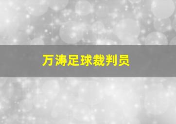 万涛足球裁判员