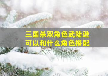 三国杀双角色武陆逊可以和什么角色搭配