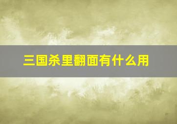 三国杀里翻面有什么用