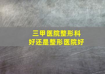 三甲医院整形科好还是整形医院好