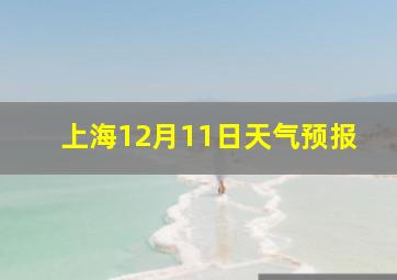 上海12月11日天气预报