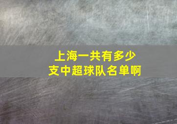 上海一共有多少支中超球队名单啊