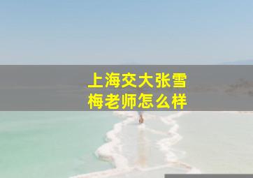 上海交大张雪梅老师怎么样