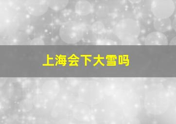 上海会下大雪吗