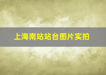 上海南站站台图片实拍