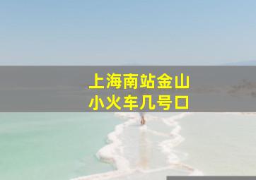 上海南站金山小火车几号口