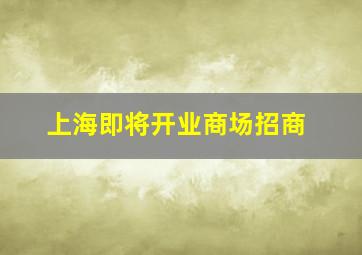 上海即将开业商场招商