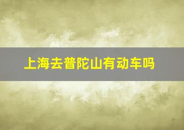 上海去普陀山有动车吗