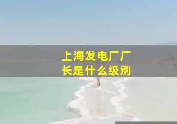 上海发电厂厂长是什么级别