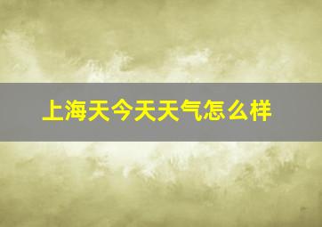 上海天今天天气怎么样